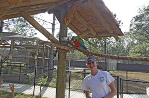 keeper and macaw at gulf coast zoo
