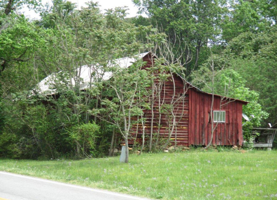 Ruins of old bank in Auraria near  Dahlonega, GA