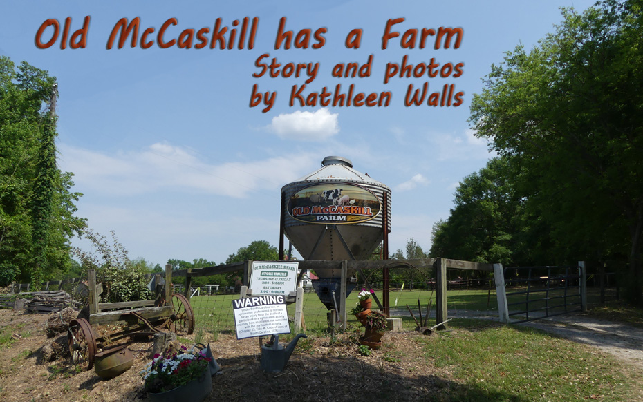 Old McCaskill Farm water tank with name on it