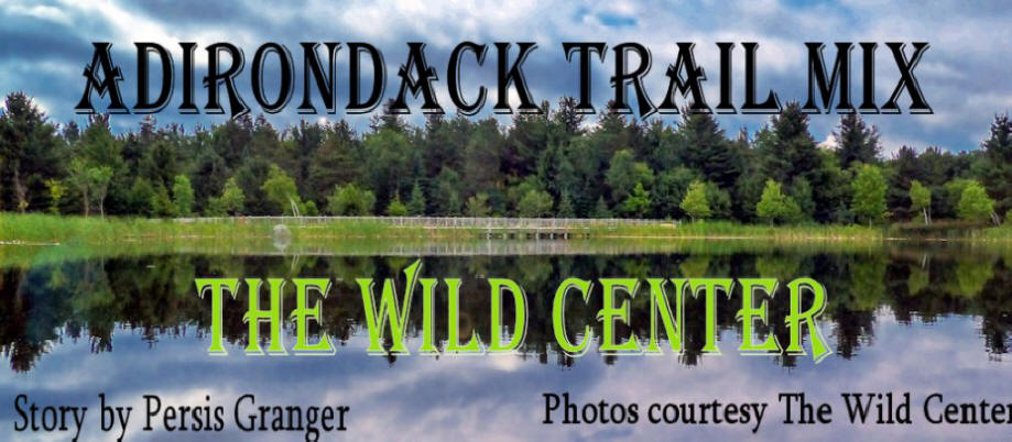Title picture for the Wild Center in the Adirondacks