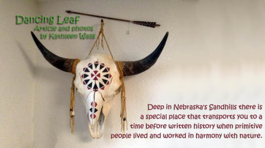 ceremonial buffalo skull at Dancing Leaf Cultural Learning Center in Nebrasks's Sandhills