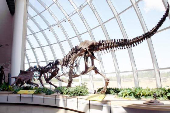 complete dinosaur fossil in Discovery Center at Discovery Park  In Union City, Tennessee