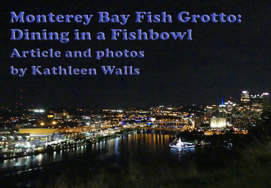 View of Pittsburgh at night from Monterey Bay Fish Grotto on Mount Washingotn