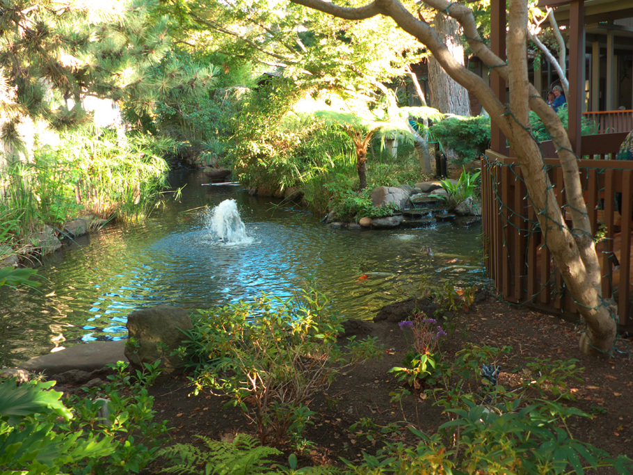 pond at Dinah's Garden Hotel