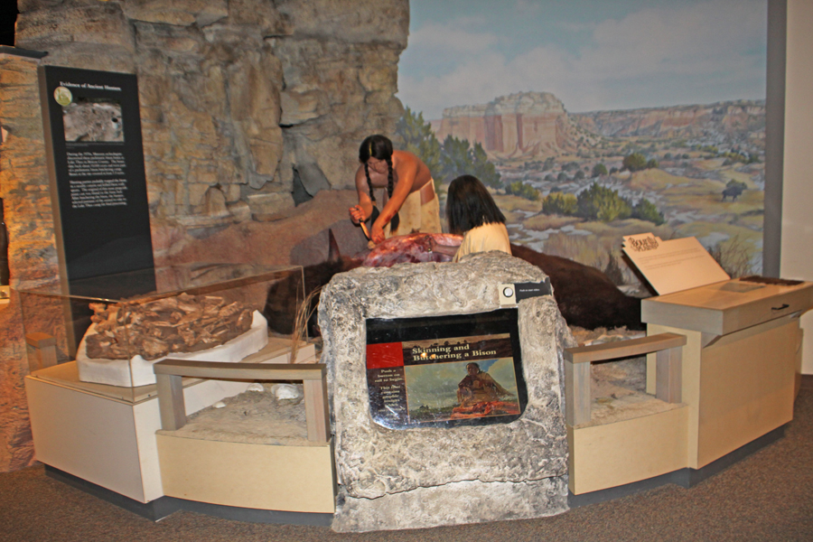 Comanche people skinning a buffalo exhibit at Panhandle Plains Historic Museum