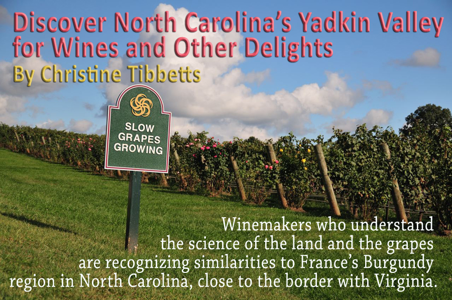 Lush views every which way in the Yadkin Valley, including Shelton Vineyards.