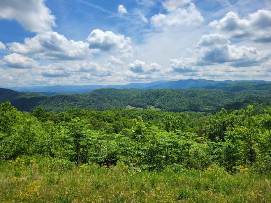 smoky mountains