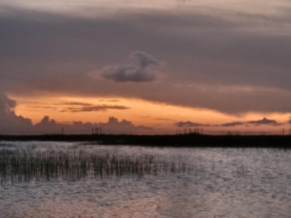 sunset in everglades