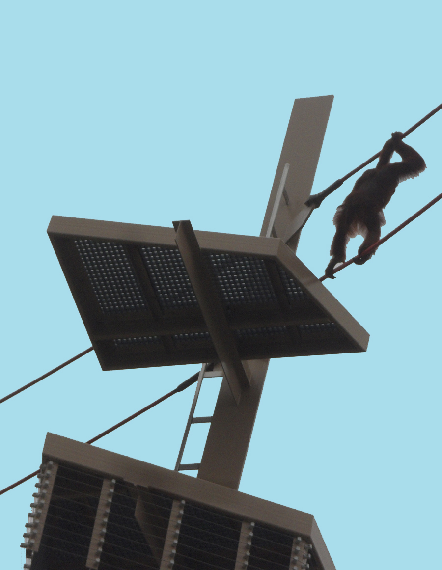 Rocky, a young orangutang swings through the air at the  Simon Skjodt International Orangutan Center in Indianapolis