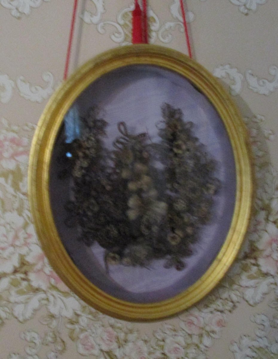 a hair portrait