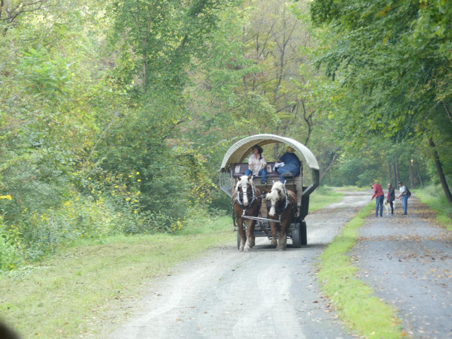 covered wagon on trail