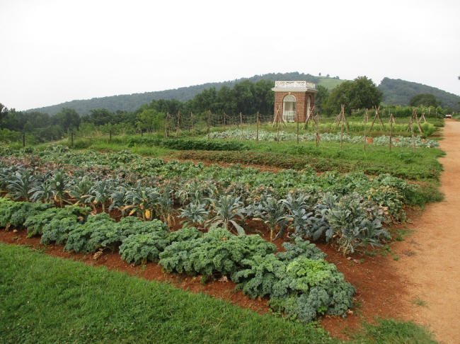 vegatable garden at montichello