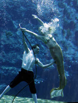 Little mermaid and prince.jpg (7040322 bytes)