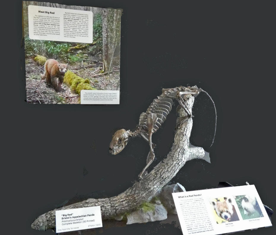 Big Red Fossil