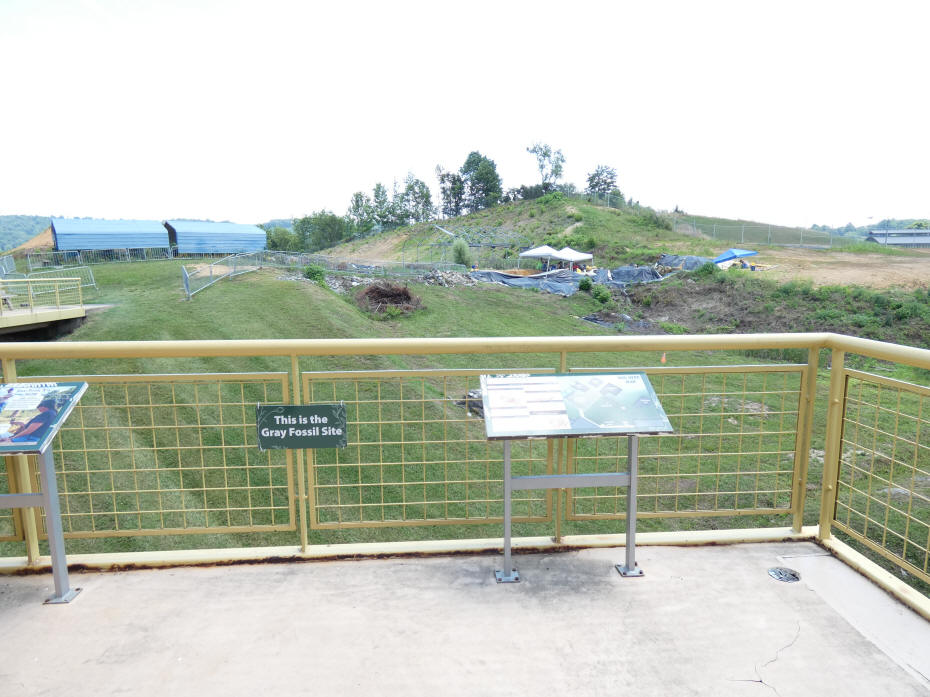 Gray fossil site