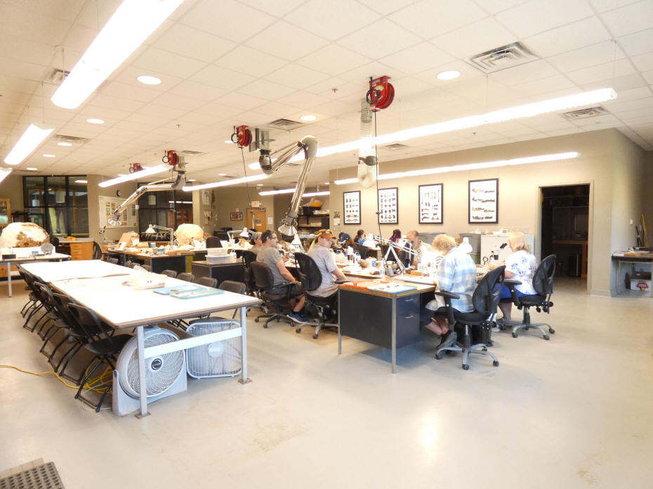 workers in lab