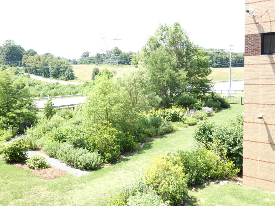 discovery garden
