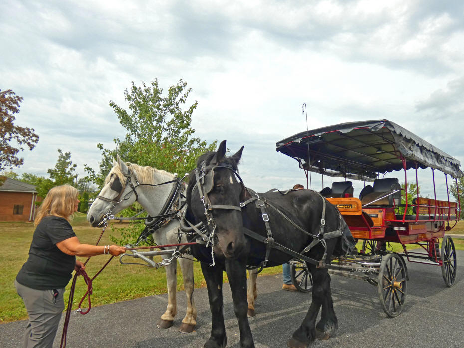 two horses and a carriage at gettysburg battlefield