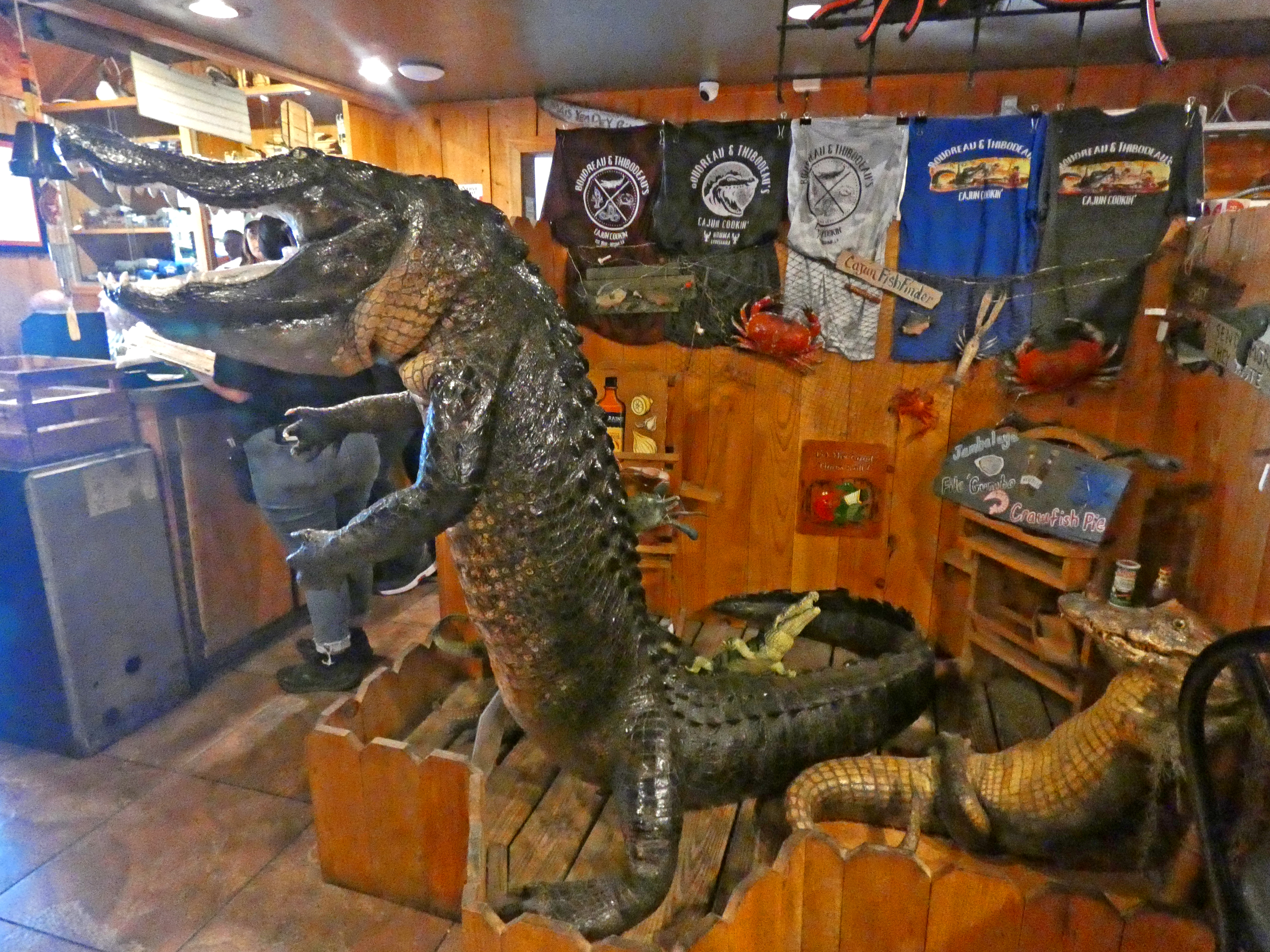 alligators at boudreau and tibeaudeou