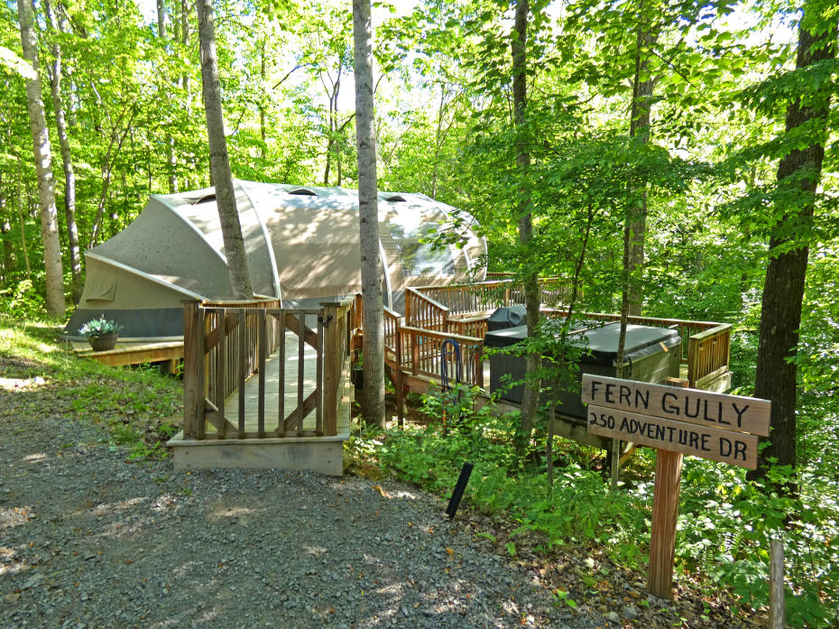 my tree tent
