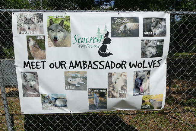 ambassador wolf sign at seagrave