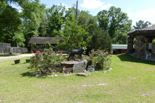 Seacrest wolf preserve