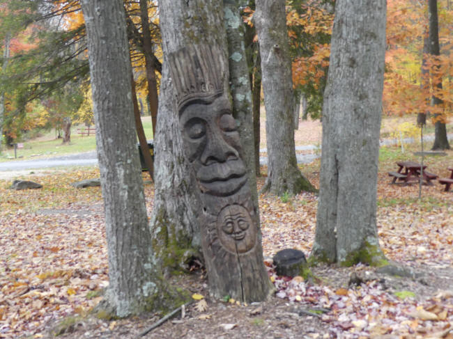 face carving in tree