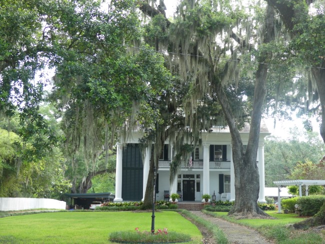 shadows on the teche