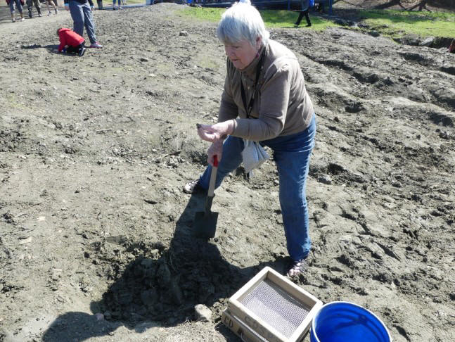 author examining a rock she dug at crater of diamonds