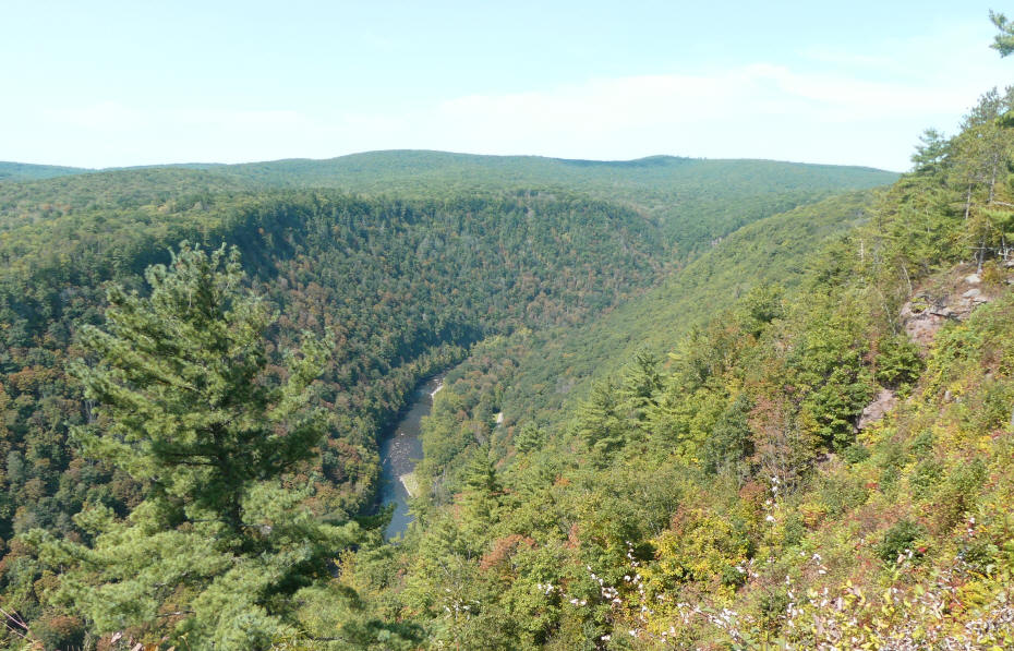 view of canyon floor from park