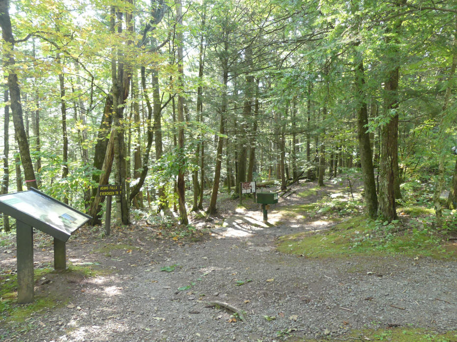 Rickets Glen state park