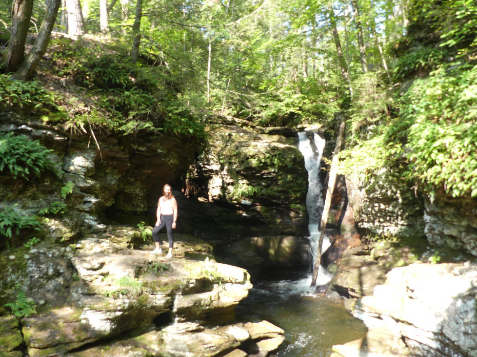 adams falls at ricketts Glen state park