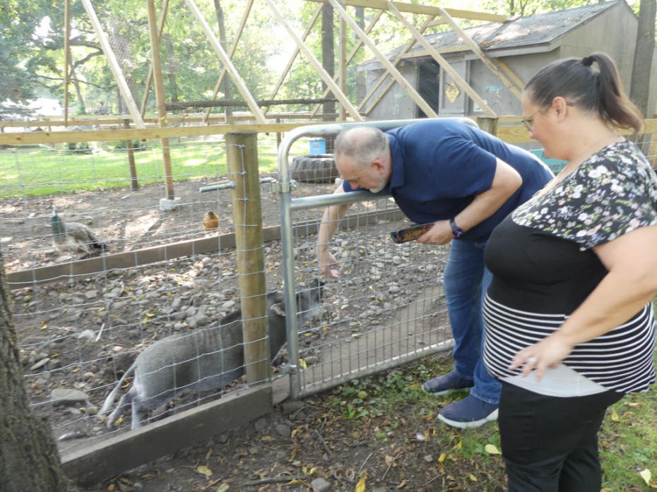 friends petting simon the pig