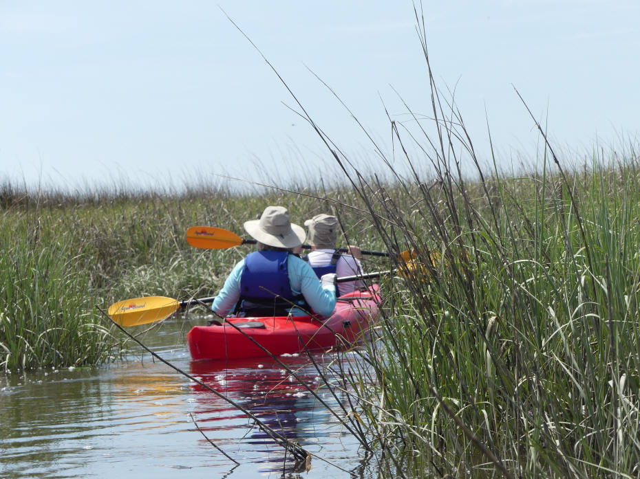 kayaking in st marys harbor