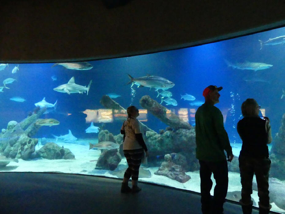 aquarium