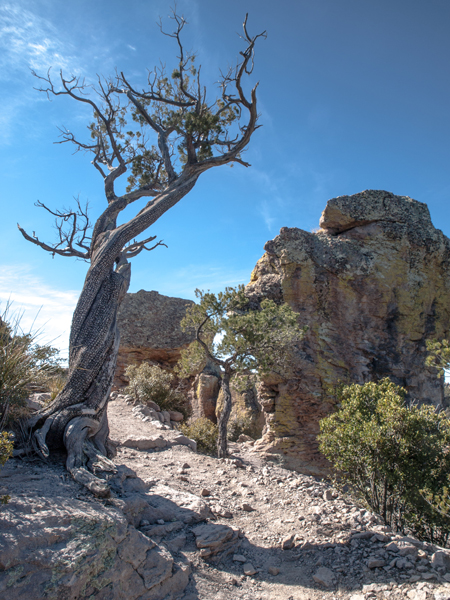 winding mountain road in Willcox Arizona