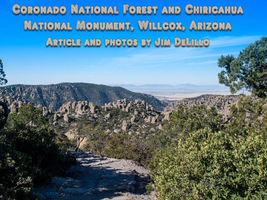 Willcox Arizona mountains with title of article