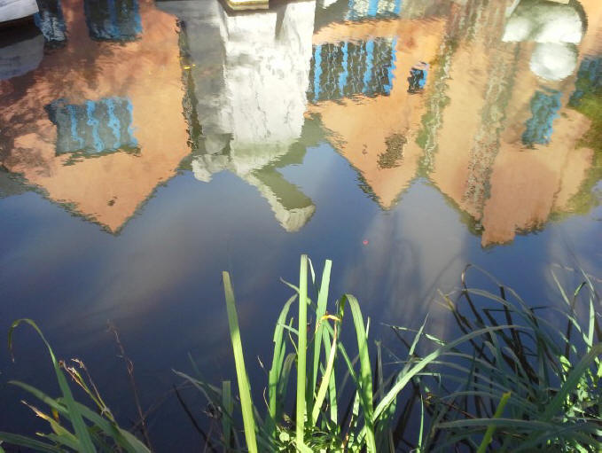 reflection in pond at Grounds for Sculpture near Trenton, N.J.