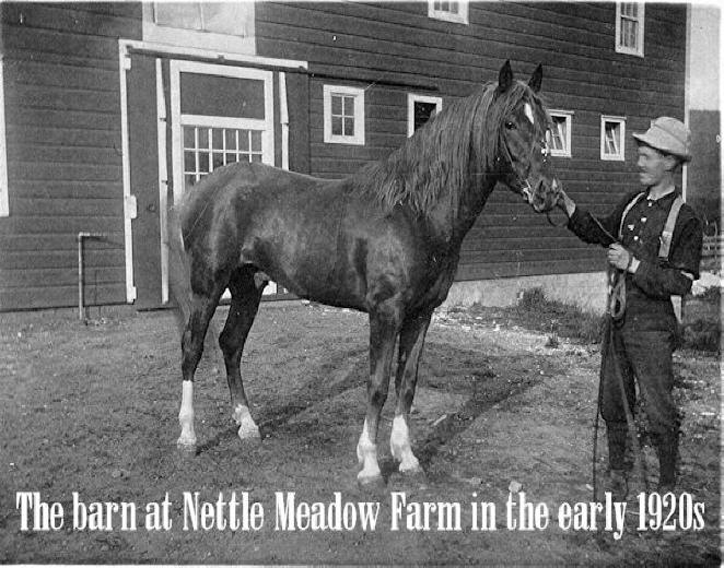 Nettle Meadow barn in 1920 with horse and trainer in front