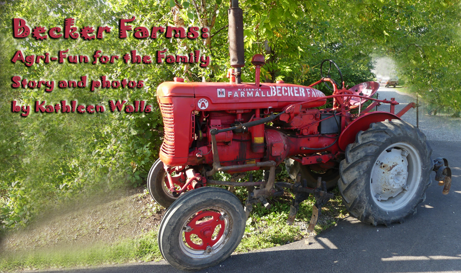 Tractor at Becker Farms