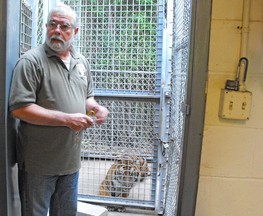 bhinds the scenes with Johnny Binder at tiger enclosure at Cameron Park Zoo in Waco, Texas at