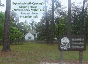 carvers creek location wooly swamp song