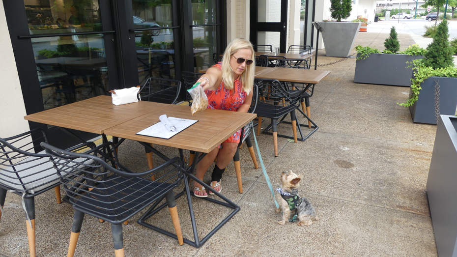 outside table with lady and dog