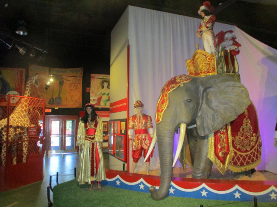 elephant ans several preformers
