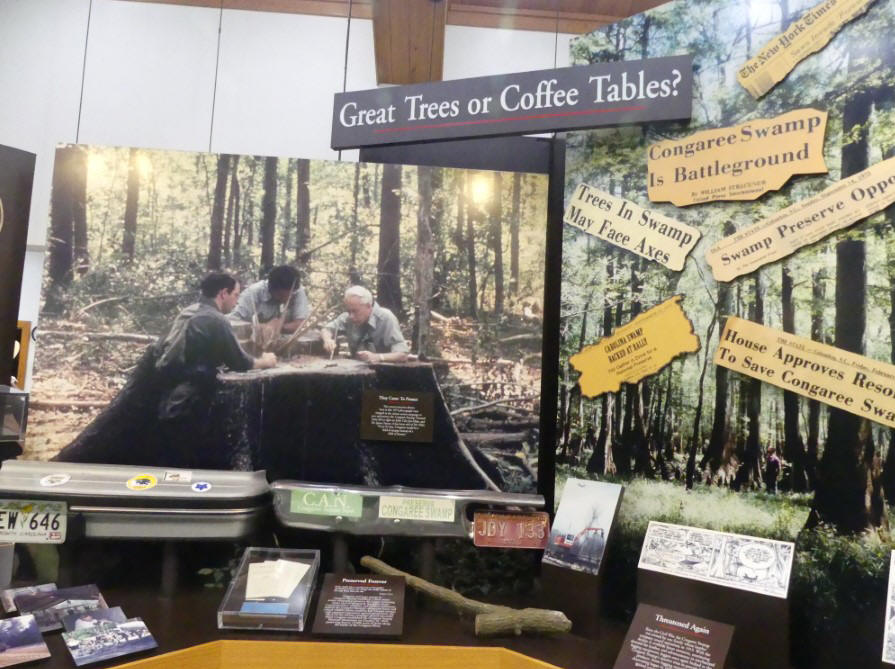 exhibit about value of cyptess trees in nature.