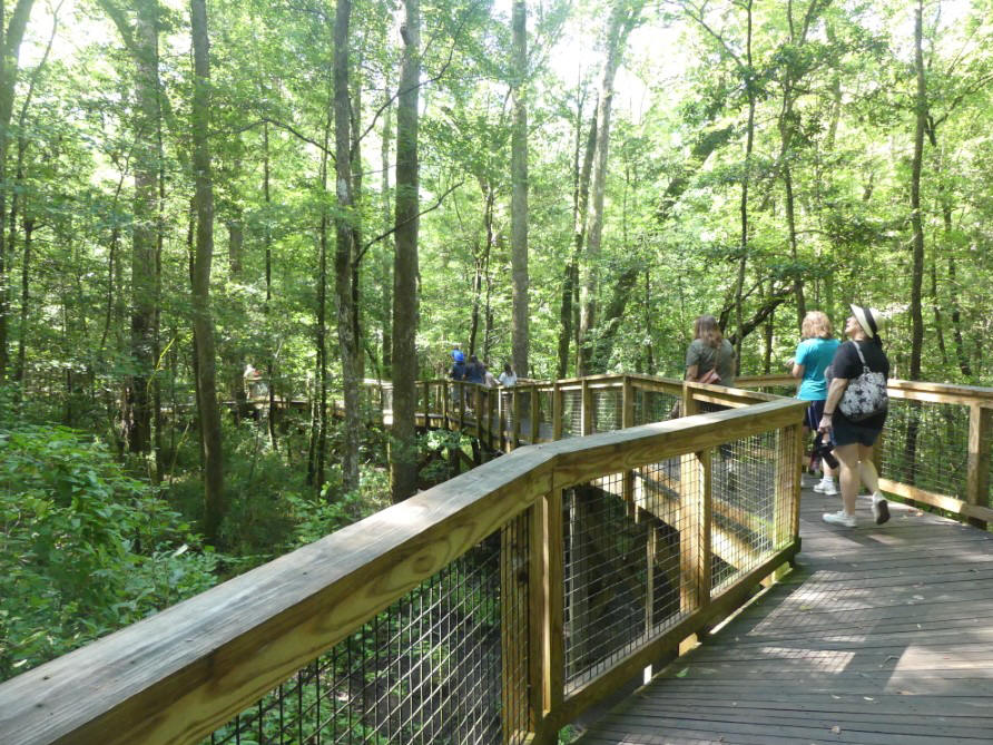 boardwalk at park