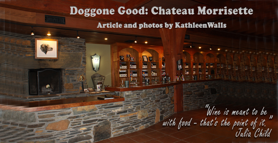 wine room in Chateau Morrisette in floyd Virginia