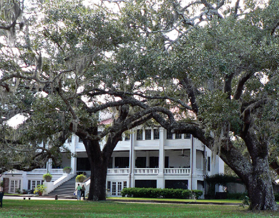 Greyfield inn