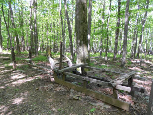 Wood sled at Catocin Furnace 