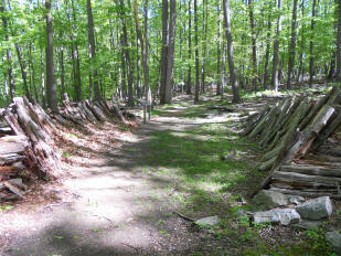 Wood used at Catocin Furnace 